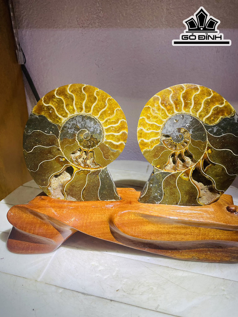 Tác Phẩm Ốc Anh Vũ Hóa Ngọc Cao 18 Ngang 23 (cm) 1,2kg