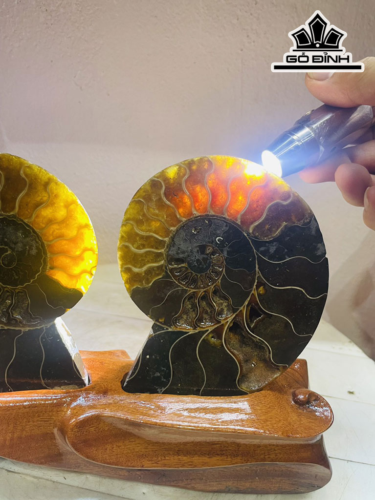 Tác Phẩm Ốc Anh Vũ Hóa Ngọc Cao 18 Ngang 23 (cm) 1,2kg