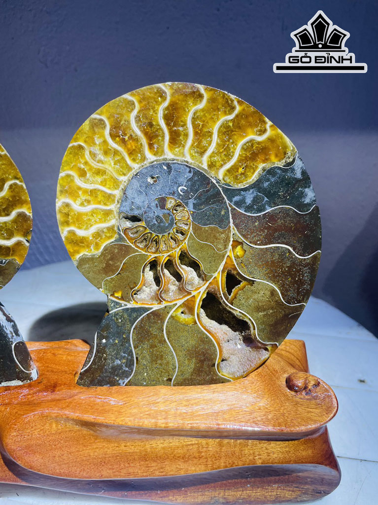 Tác Phẩm Ốc Anh Vũ Hóa Ngọc Cao 18 Ngang 23 (cm) 1,2kg