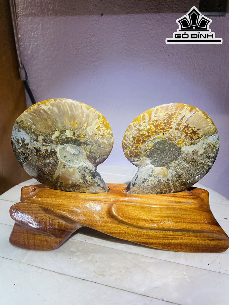 Tác Phẩm Ốc Anh Vũ Hóa Ngọc Cao 18 Ngang 23 (cm) 1,2kg