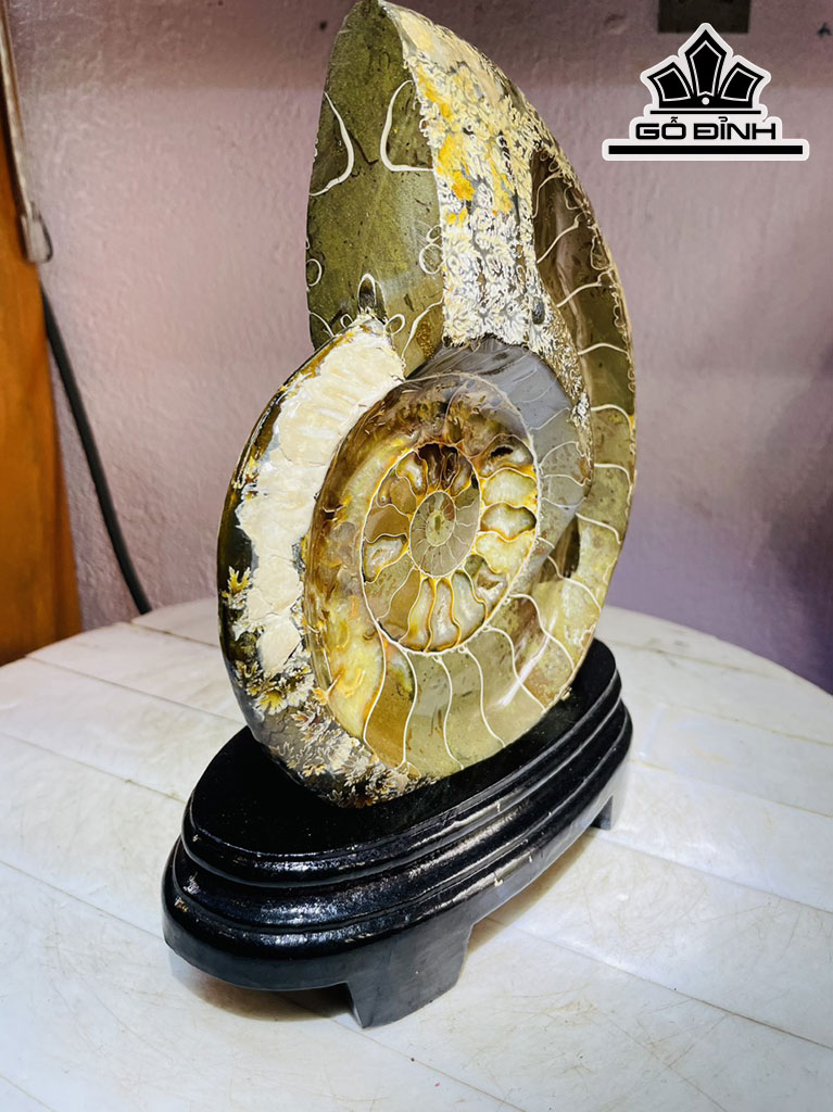 Tác Phẩm Ốc Anh Vũ Hóa Ngọc Cao 24 Ngang 17 (cm) 1,6kg