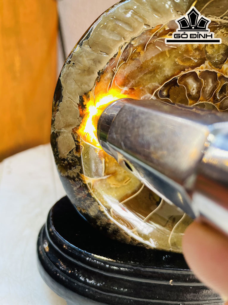 Tác Phẩm Ốc Anh Vũ Hóa Ngọc Cao 24 Ngang 17 (cm) 1,6kg