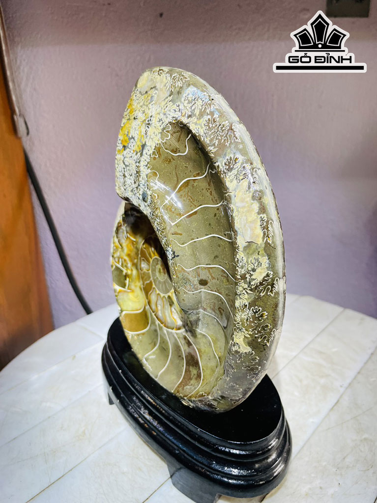 Tác Phẩm Ốc Anh Vũ Hóa Ngọc Cao 24 Ngang 17 (cm) 1,6kg