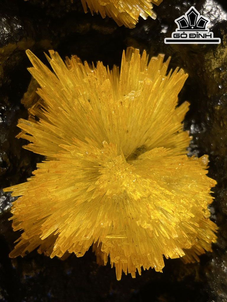 Bông Hoa Ưu Đàm Đá Trầm Tích Cao 36 Ngang 28 (cm) 17kg