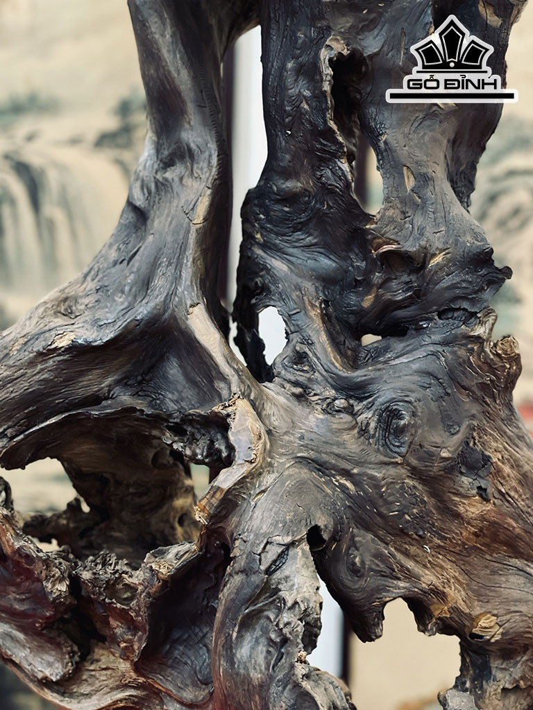 Gỗ Lũa Phong Thuỷ Gỗ Bách Xanh Cao 73 Ngang 56 Sâu 30 (cm)