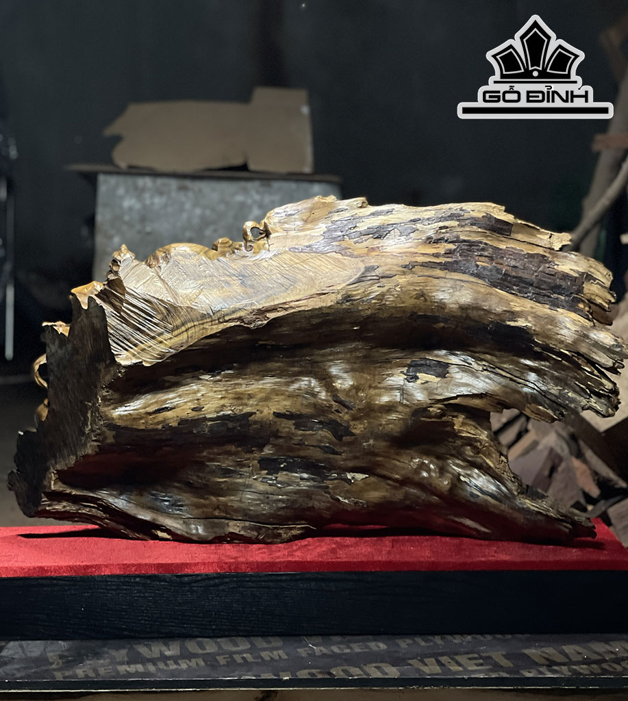 Tượng Nhất Tâm Bái Phật Gỗ Bách Xanh Cao 41 Ngang 75 Sâu 18 (cm)