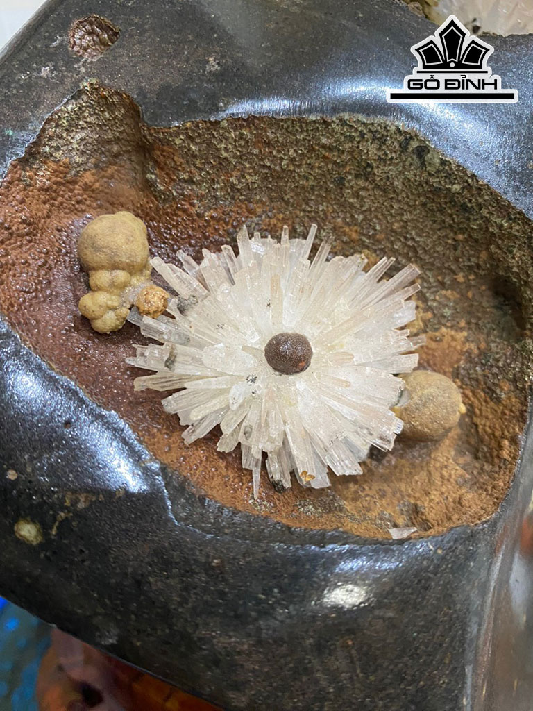 Bông Hoa Ưu Đàm Đá Aragonit Cao 28 (cm) 6,7kg