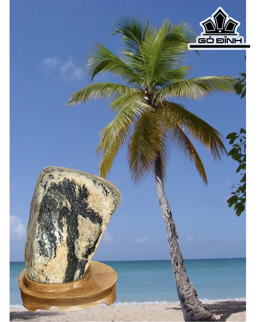 Tác Phẩm Cây Dừa Đá Cuội Cao 25 Ngang 17 Sâu 6 (cm)