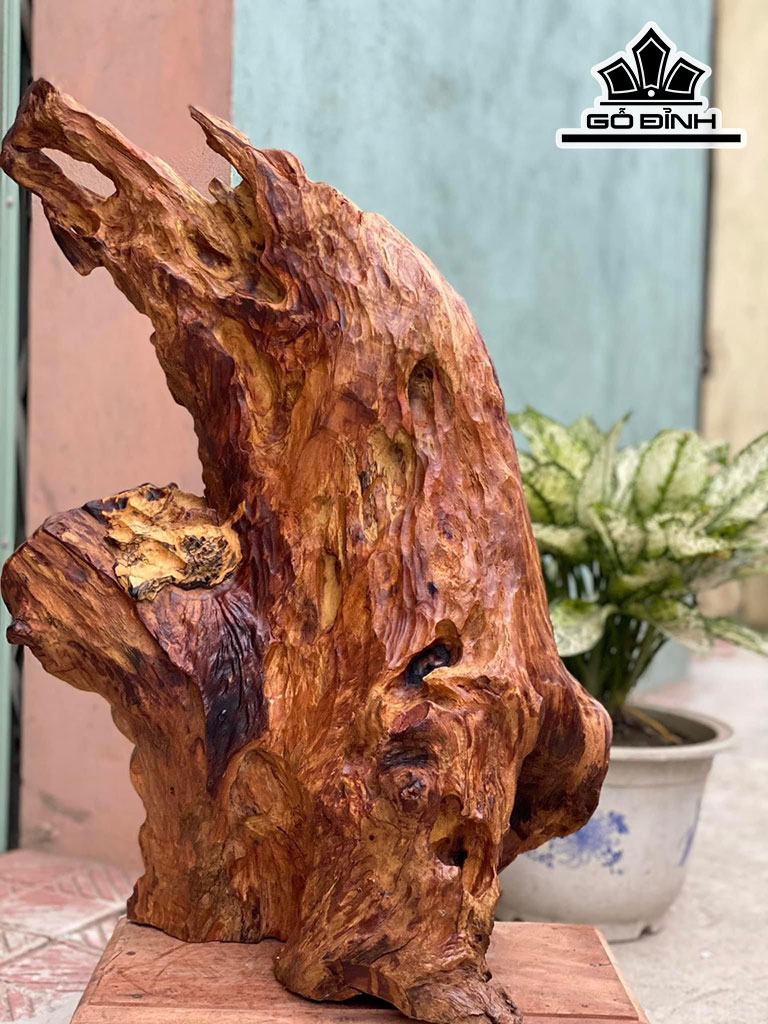 Tượng Ông Thọ Gỗ Cẩm Cao 56 Ngang 40 Sâu 25 (cm)