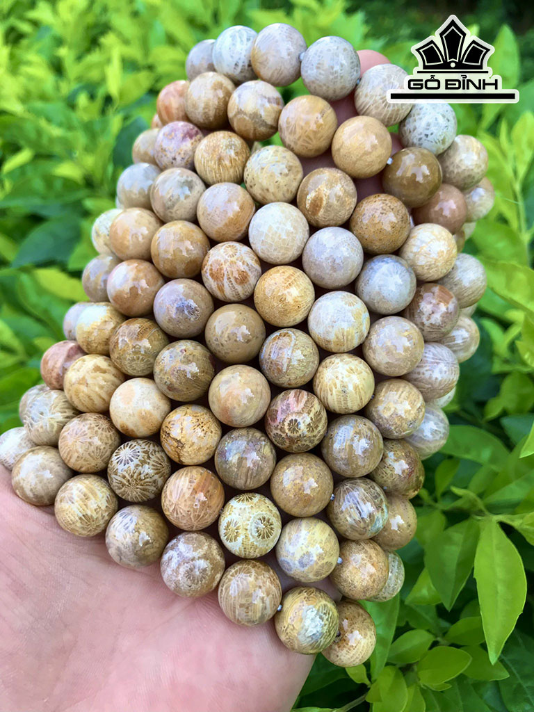 Vòng Tay Đá San Hô Đường Kính Hạt 12.5 (mm)