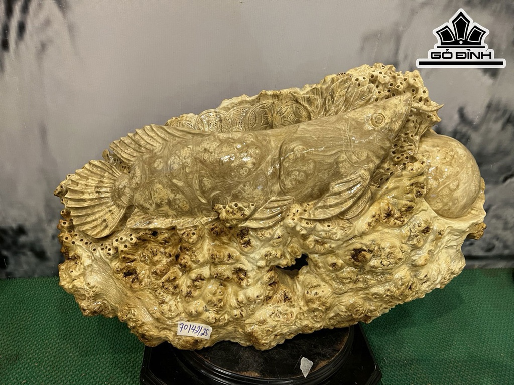 Tượng Con Cá Gỗ Nu Nghiến Ngang 70 Cao 42 Sâu 25 (cm)