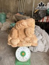 Tượng Cóc Ngậm Tiền Gỗ Ngọc Am Cao 48 Ngang 62 Sâu 60 (cm)