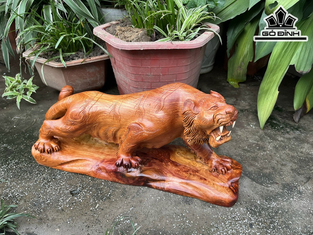 Tượng Hổ Phong Thủy Gỗ Hương Ngang 45 Cao 20 Sâu 13 (cm)