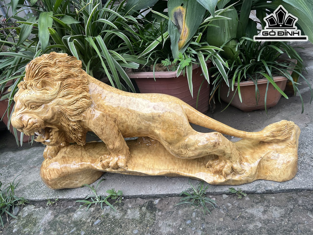 Tượng Sư Tử Gỗ Nu Kháo Ngang 70 Cao 35 Sâu 20 (cm)