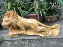 Tượng Sư Tử Gỗ Nu Kháo Ngang 70 Cao 35 Sâu 20 (cm)