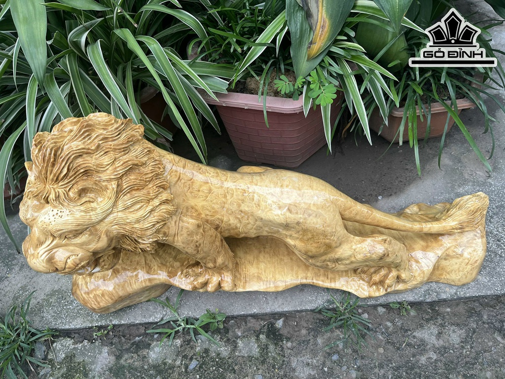 Tượng Sư Tử Gỗ Nu Kháo Ngang 70 Cao 35 Sâu 20 (cm)