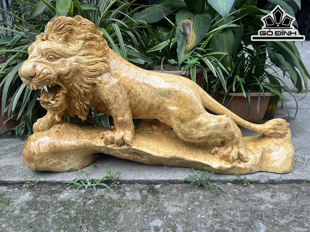 Tượng Sư Tử Gỗ Nu Kháo Ngang 70 Cao 35 Sâu 20 (cm)