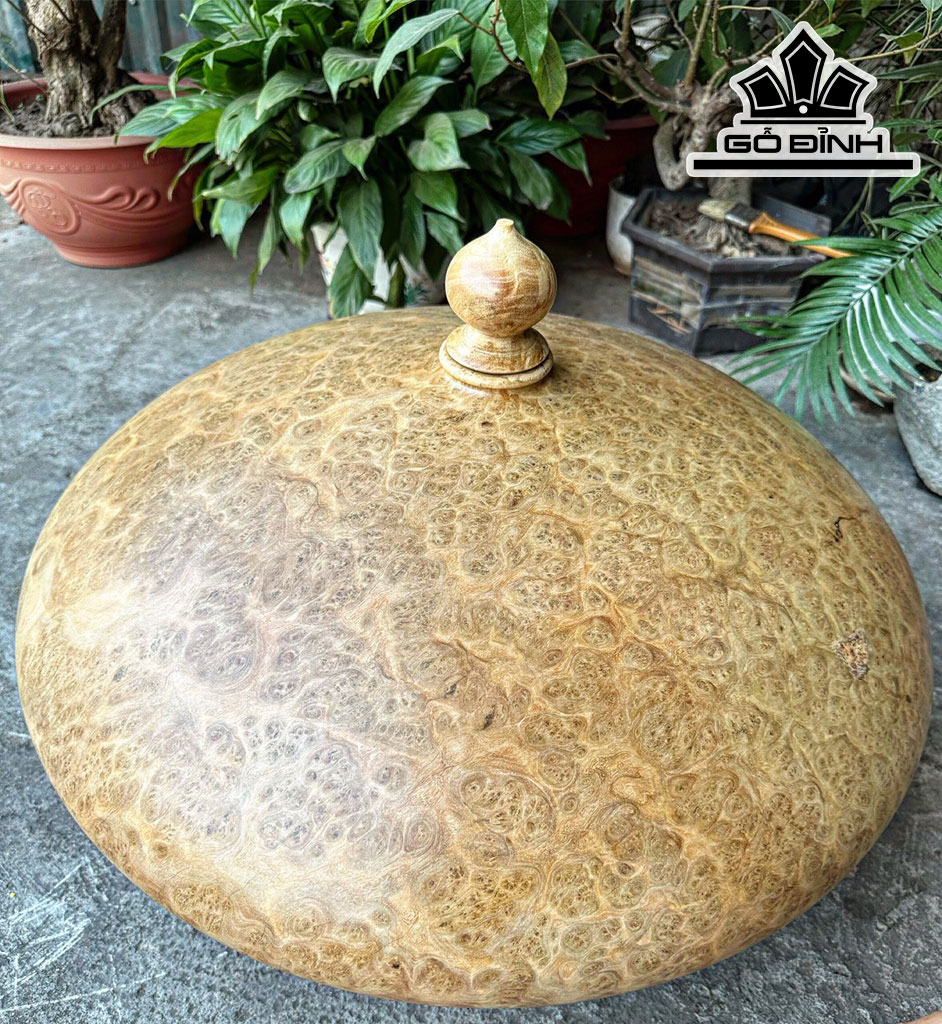 Chum Phú Quý Gỗ Nu Kháo Cao 29 Đường Kính 56 (cm)