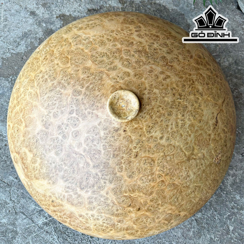 Chum Phú Quý Gỗ Nu Kháo Cao 29 Đường Kính 56 (cm)