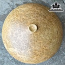 Chum Phú Quý Gỗ Nu Kháo Cao 29 Đường Kính 56 (cm)