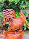 Tượng Gà Trống Gỗ Hương Cao 56 Ngang 33 Sâu 17 (cm)