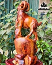 Tượng Nhất Dương Gỗ Hương Cao 48 Ngang 21 Sâu 16 (cm)