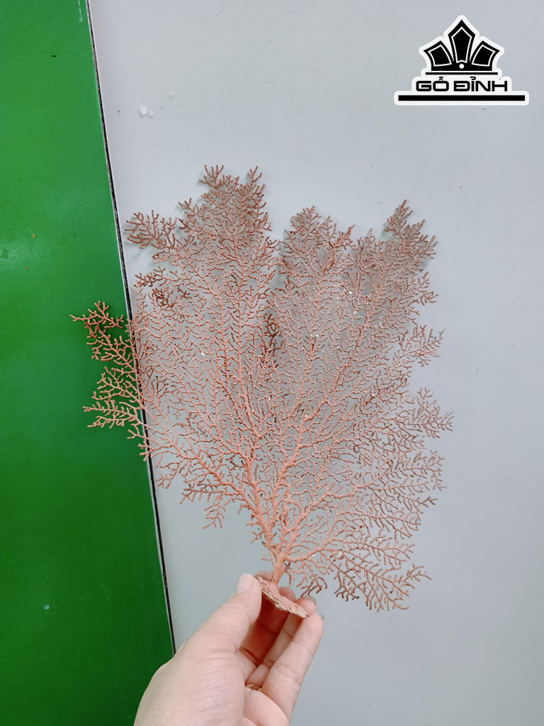 Tác Phẩm Cây San Hô Cao 25 Ngang 33 (cm)