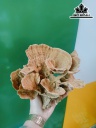 Tác Phẩm Đá San Hô Cao 15 Ngang 20 (cm)