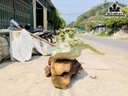 Tác Phẩm Đá Serpentine Cao 69 Ngang 76 Sâu 48 (cm) 105kg