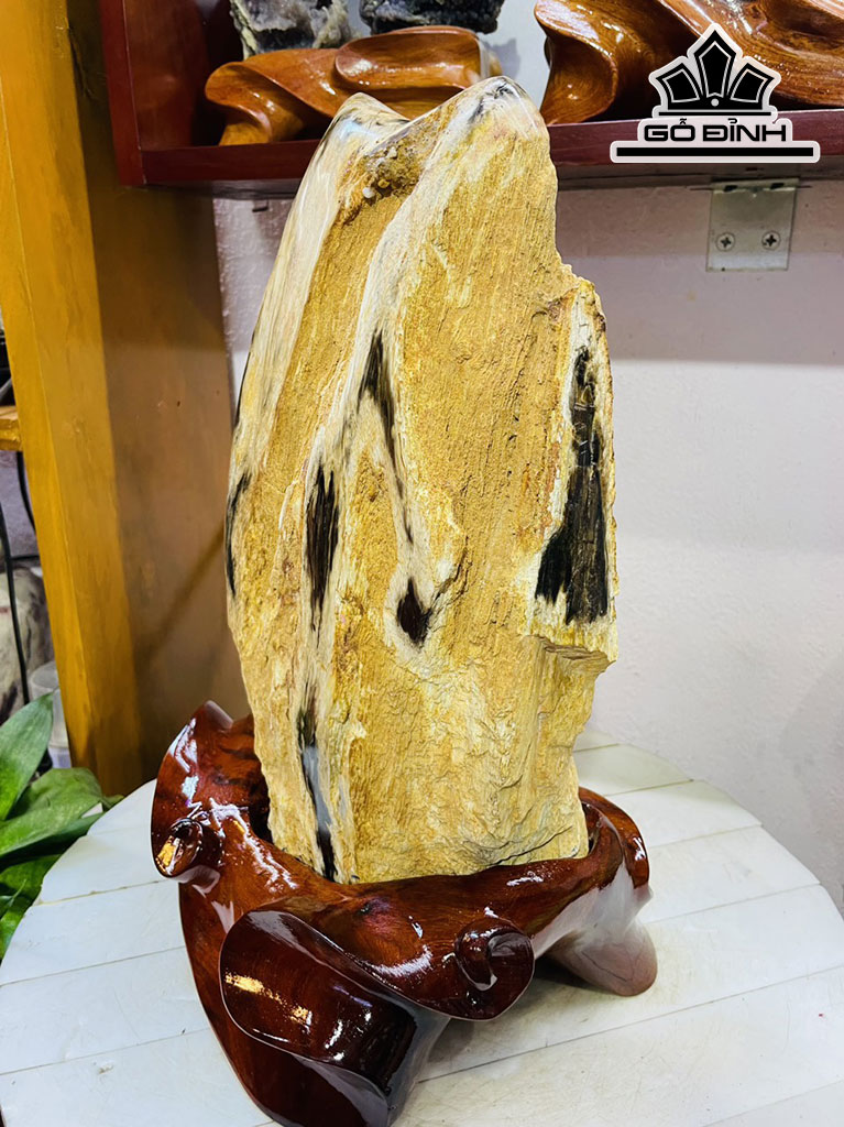 Tác Phẩm Gỗ Hóa Thạch Cao 37 Ngang 22 (cm) 10kg