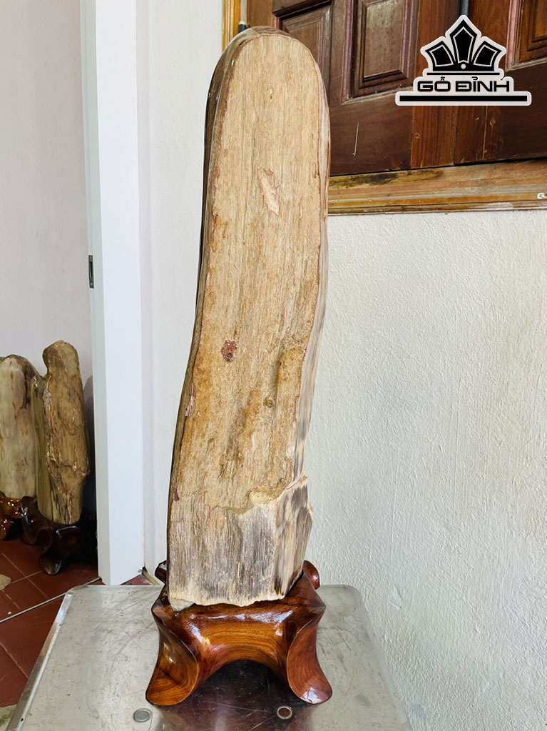 Tác Phẩm Gỗ Hóa Thạch Cao 75 Ngang 25 (cm) 21,5kg