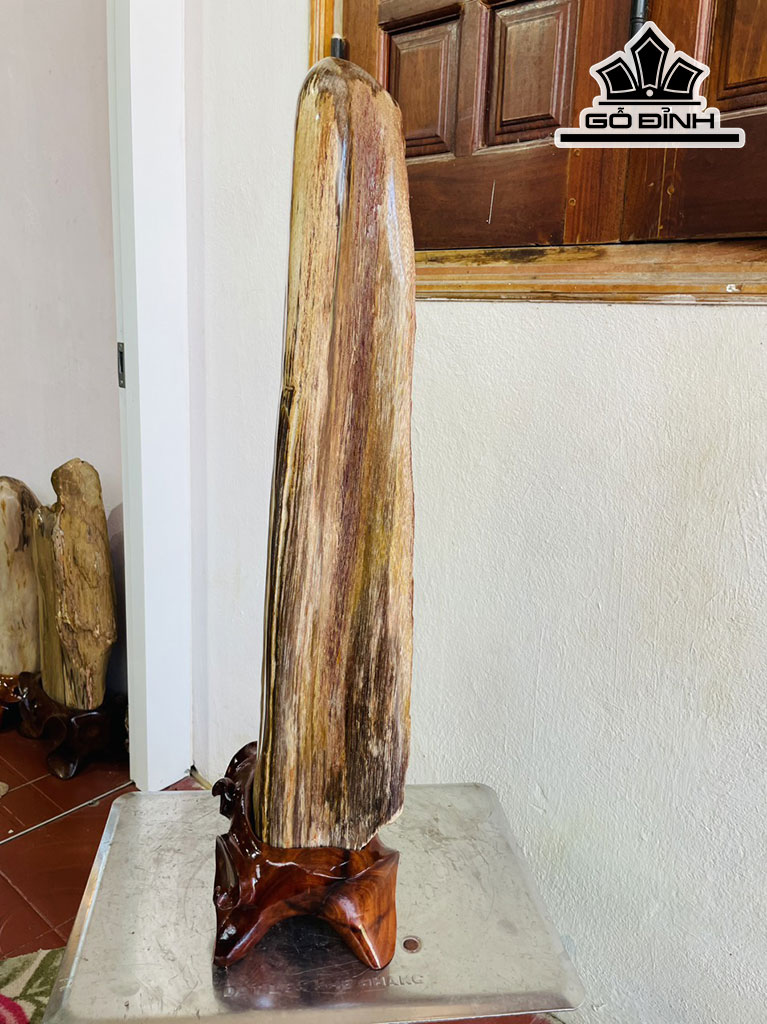 Tác Phẩm Gỗ Hóa Thạch Cao 75 Ngang 25 (cm) 21,5kg