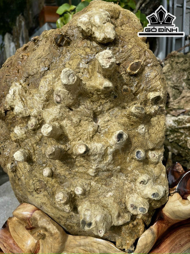 Tác Phẩm Đá Lửa Cao 60 (cm) 20kg