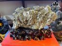 Tác Phẩm Đá Pyrite Cao 25 Ngang 19 (cm) 7,7kg