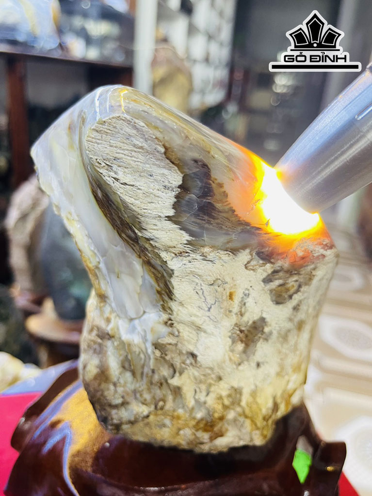 Tác Phẩm Gỗ Hóa Thạch Cao 22 (cm) 2,9kg