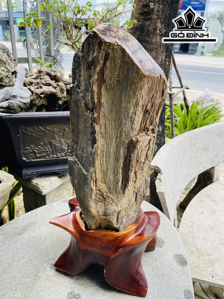 Tác Phẩm Gỗ Hóa Thạch Cao 60 (cm) 19kg