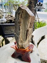 Tác Phẩm Gỗ Hóa Thạch Cao 60 (cm) 19kg