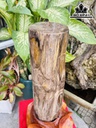 Trụ Gỗ Hóa Thạch Cao 52 (cm) 13,8kg