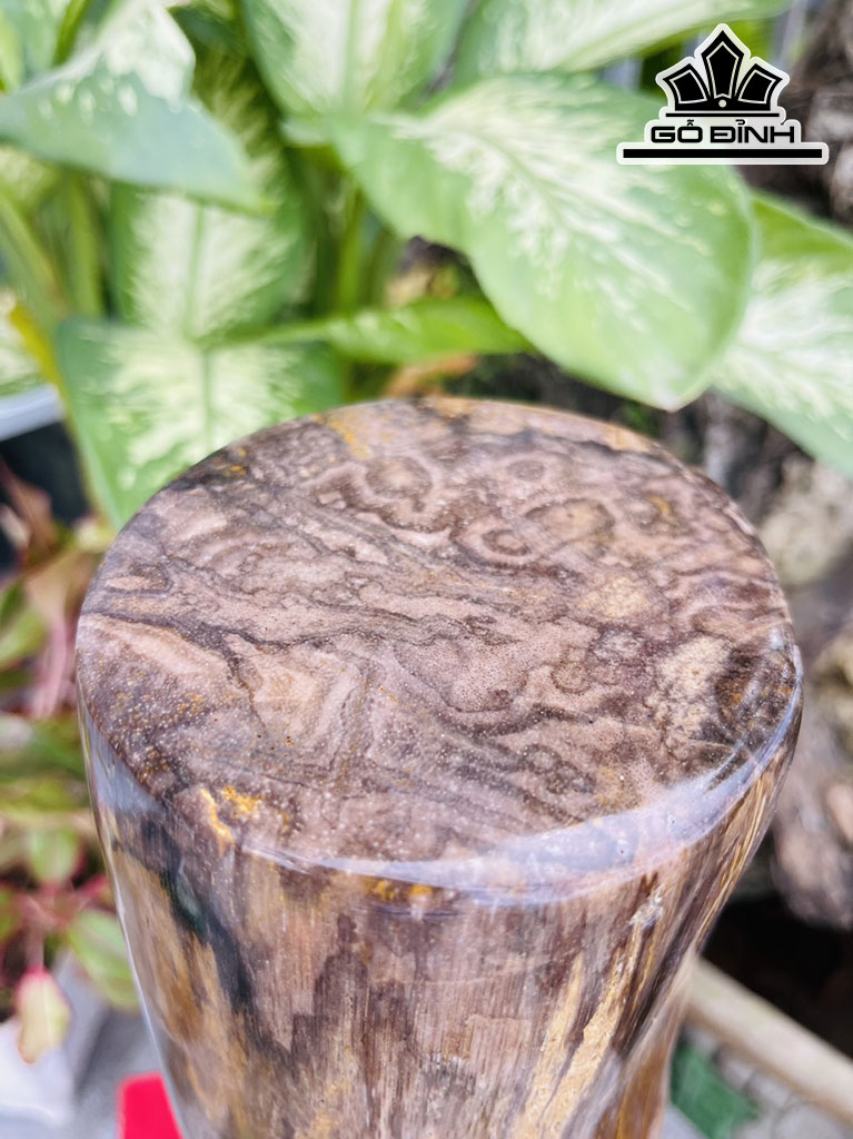 Trụ Gỗ Hóa Thạch Cao 52 (cm) 13,8kg