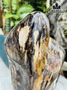 Tác Phẩm Gỗ Hóa Thạch Cao 52 (cm) 12kg