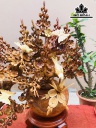 Bình Mai Phú Quý Gỗ Hương Cao 70 Ngang 59 Sâu 30 (cm)
