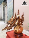 Bình Mai Phú Quý Gỗ Hương Cao 70 Ngang 59 Sâu 30 (cm) - Copy