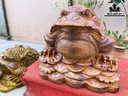 Tượng Cóc Ngậm Tiền Gỗ Ngọc Am Cao 36 Ngang 38 Sâu 38 (cm) - Copy