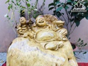 Tượng Phật Di Lặc Gỗ Nu Kháo Cao 36 Ngang 25 Sâu 18 (cm)