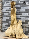 Tượng Ông Thọ Gỗ Nu Giáng Hương Cao 96 Ngang 64 Dài 26 (cm)
