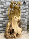 Tượng Ông Thọ Gỗ Nu Giáng Hương Cao 109 Ngang 64 Dài 28 (cm)