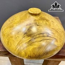 Chum Phú Quý Gỗ Nu Kháo Cao 14 Đường Kính 29 (cm)