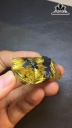 Mặt Dây Chuyền Đá Thạch Anh Tóc Vàng Cao 38 Ngang 27 Sâu 10,4 (mm) 21,6gr