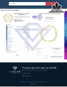 Vòng Tay Đá Thạch Anh Tóc Vàng Đường Kính Hạt 7,96 (mm) 70.93cts