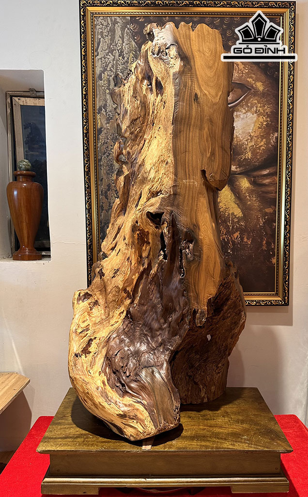 Tượng Nhất Tâm Bái Phật Gỗ Bách Xanh Cao 100 Ngang 47 Sâu 28 (cm)